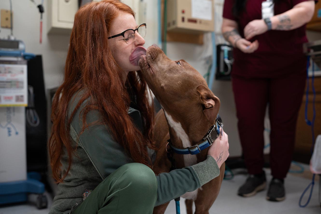 Happy Dog Licking Staff Members Face