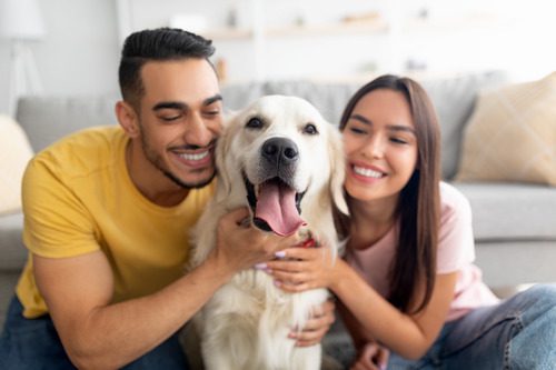 couple-hugging-their-yellow-labrador-dog-at-home