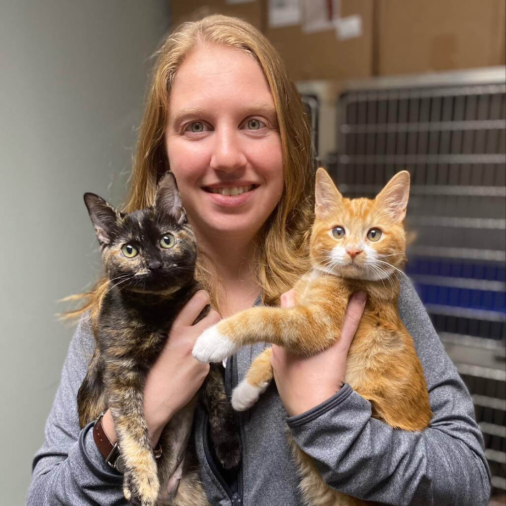 Female Veterinarian Holding Two Cats