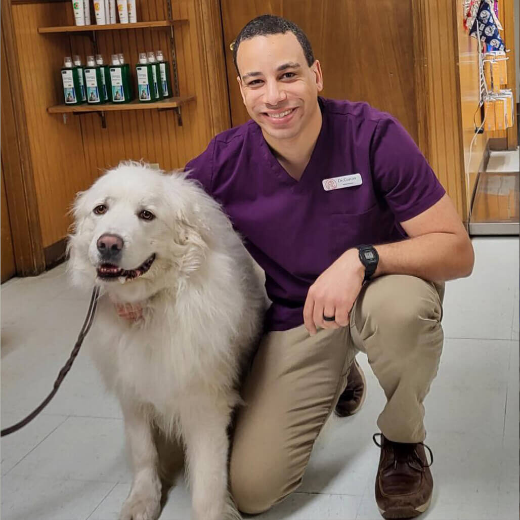 Male Veterinarian With Fuzzy White Dog