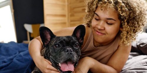 small-dog-breeds young-woman-cuddling-with-french-bulldog-on-her-bed